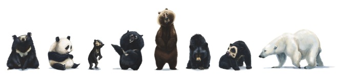 bears 2