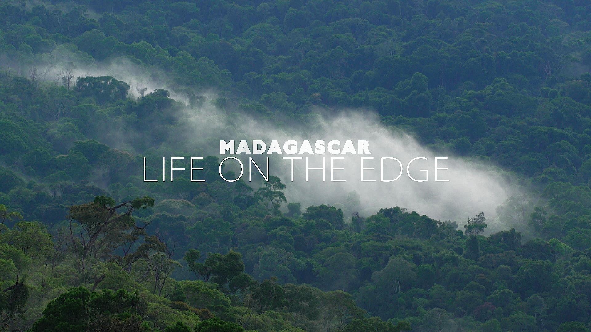 madagascar_life_on_the_edge